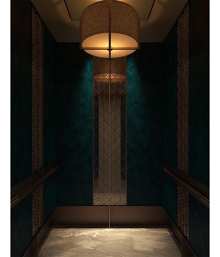 elegant residential elevator