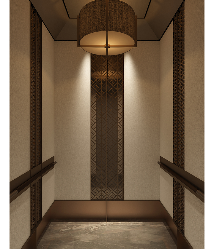 luxury home elevator