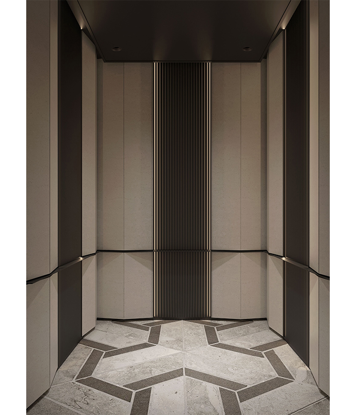 elegant villa elevator