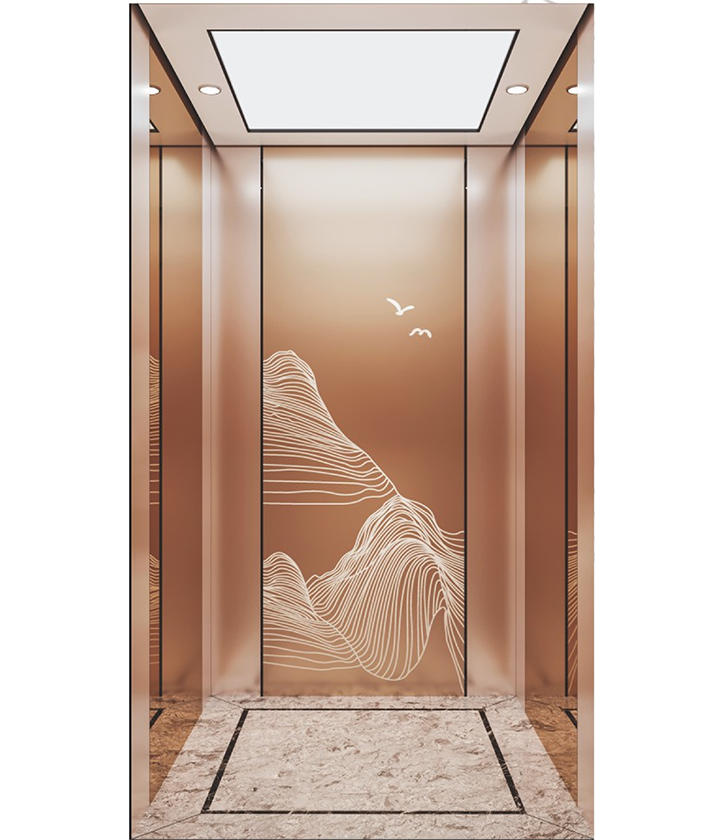 luxury home elevator