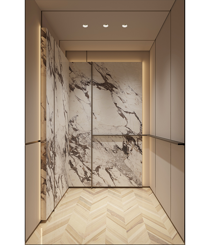 luxury home elevator