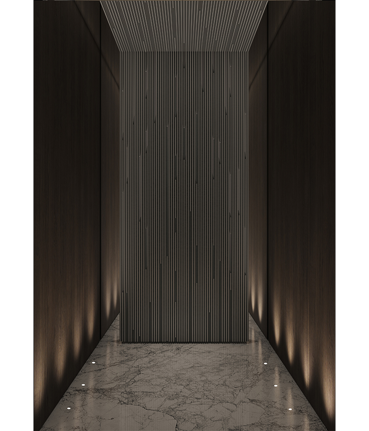 luxury home elevator