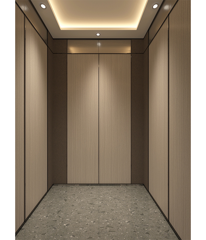 elegant villa elevator