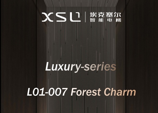 Forest Rhythm